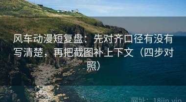 风车动漫短复盘：先对齐口径有没有写清楚，再把截图补上下文（四步对照）