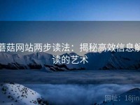 蘑菇网站两步读法：揭秘高效信息解读的艺术
