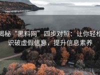 揭秘“黑料网”四步对照：让你轻松识破虚假信息，提升信息素养