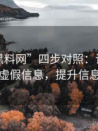 揭秘“黑料网”四步对照：让你轻松识破虚假信息，提升信息素养