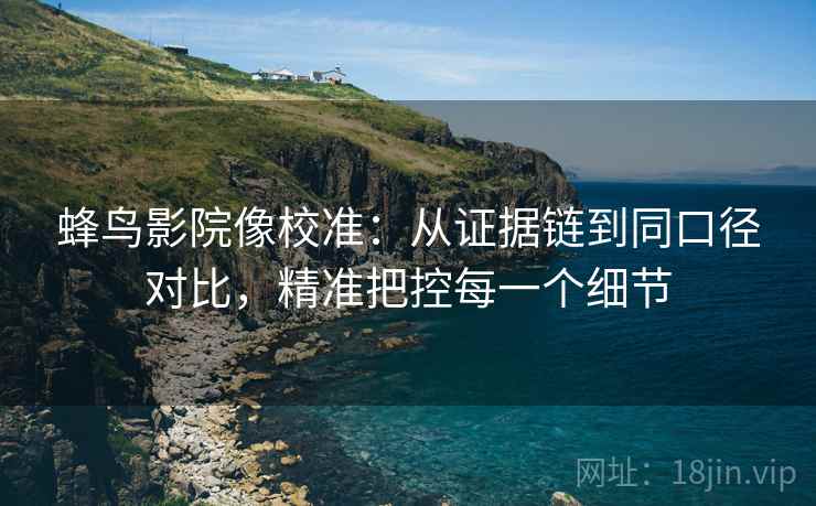 蜂鸟影院像校准：从证据链到同口径对比，精准把控每一个细节